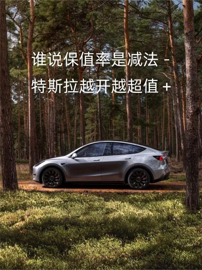 真金白银的“津贴”已拉满 月底前买特斯拉最高立省近4万