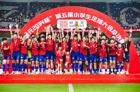 比亚迪的 “委屈”，当中国创新者被舆论围剿，我们都该醒醒了