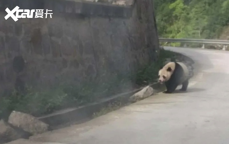 重走长征路，驱车翻越正修路的夹金山是什么感觉？