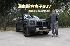 满血版方盒子SUV 燃油版哈弗猛龙来了