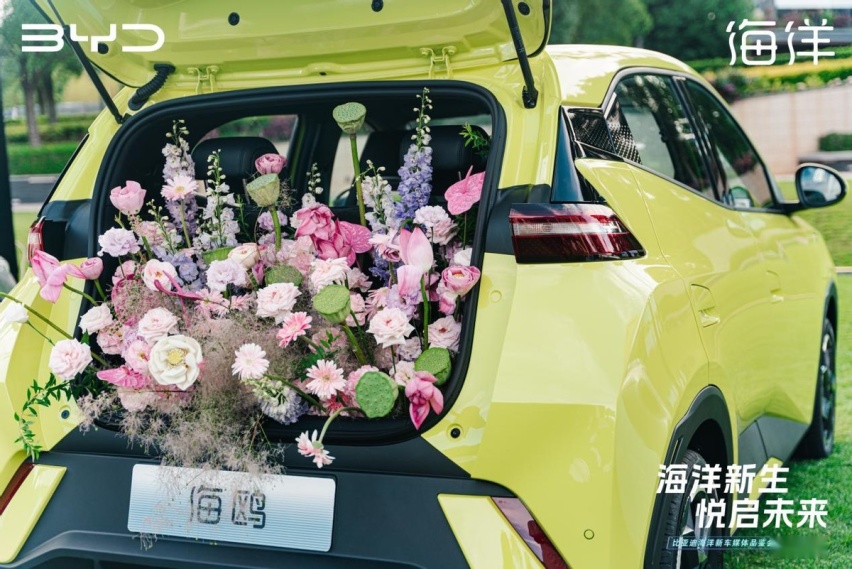 试驾比亚迪海鸥，作为一辆城市纯电代步小车，它合格吗？