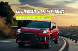 全新RAV4性能版海外曝光：运动套件加持，马力超300匹