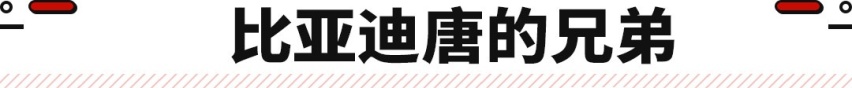 红旗要推混动 20万不到就能买美系豪车？这些优质新车即将来袭！