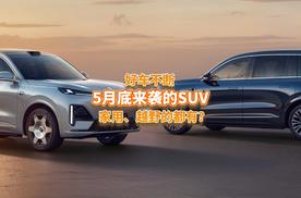 想买SUV的准备好，本月还有一批要上市，个性、配置有亮点