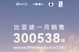 2025年1月销售30 万台同比增长50.3%，比亚迪稳居中国销冠