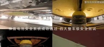 动图