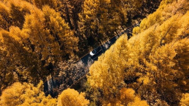 “试”后得知，超混电驱奇骏一箱油续航极限超1400km