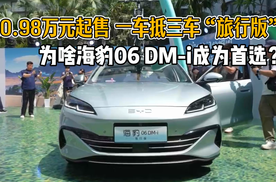 一车抵三车的“旅行车”，为啥海豹06 DM-i成为首选？