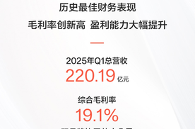 极氪科技发布2025年一季度财报：营收220亿元，综合毛利率19.1%创历史最高