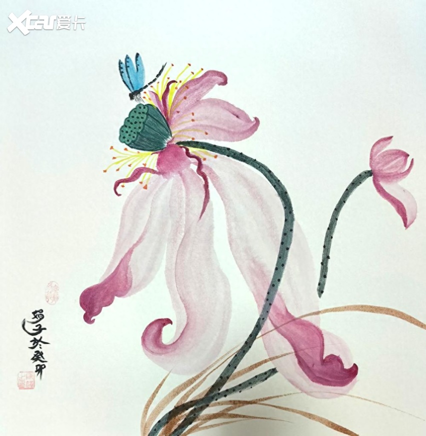 陈娟首届花鸟绘画作品线上展