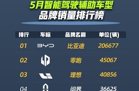 5月智驾销量出炉：比亚迪一骑绝尘