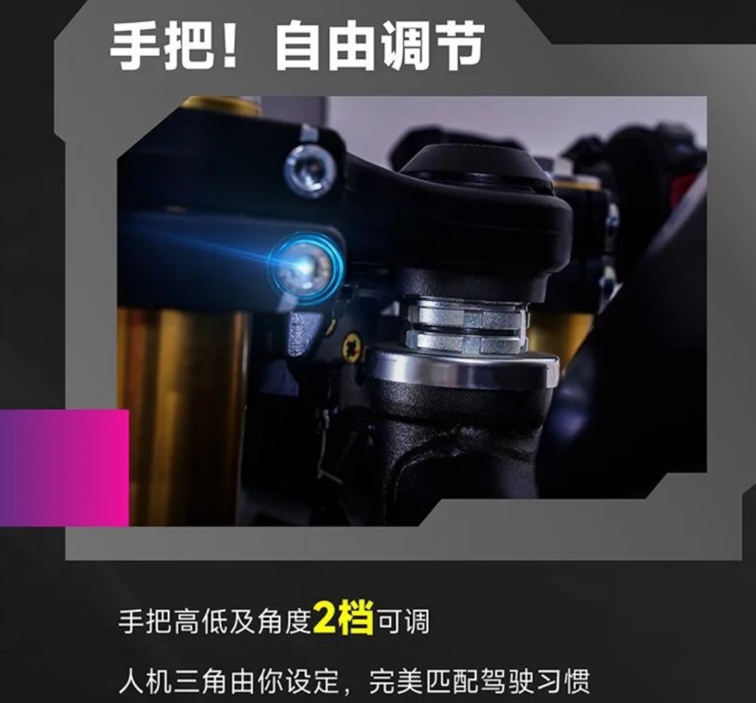 15499元，无极250RR FREE版：坐高、手把、脚踏支持DIY