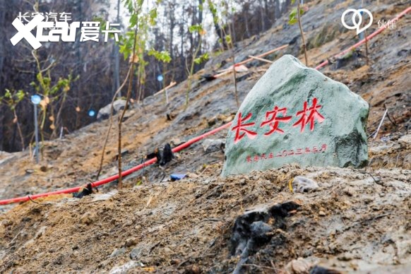 伙伴助力 爱有新益！长安汽车“共建青山计划”起航