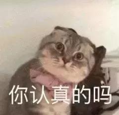 试驾过福特领界之后,我才知道为什么它会成为“黑马”?
