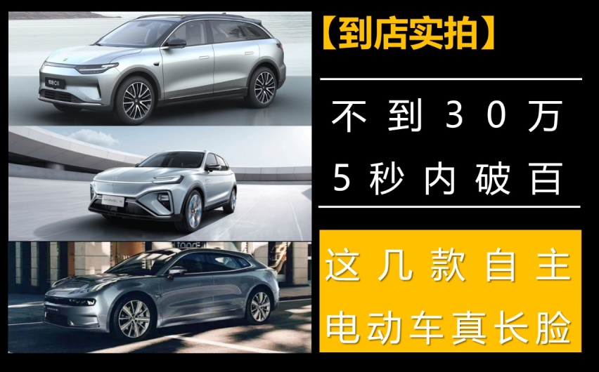【帮你选车】不到30万，5秒内破百，这几款自主电动车真长脸！