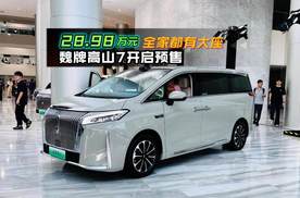魏牌高山7开启预售28.98万元 全家都有大座
