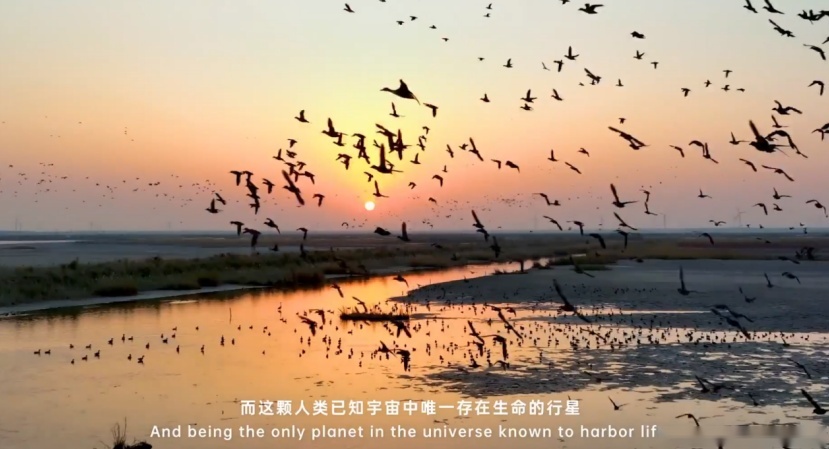 海南岛究竟有多神奇？这部科普纪录片披露了这些关键信息！