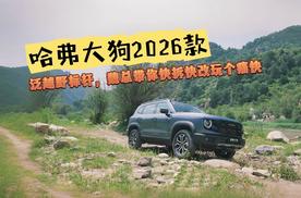 哈弗大狗2026款 快拆快改魏总带你玩痛快