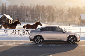 车圈马年营销，宝马、奔腾小马都是本命年！