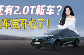 燃油党开心了！奇瑞再推2.0T高功率车型
