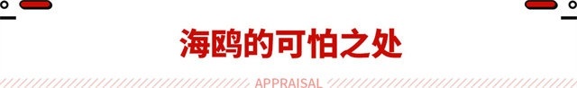10万内比亚迪无敌手？海鸥续航有望400km起 油车都不值了！