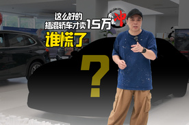 用帕萨特2.0T的价格，能买这么好的插混轿车？