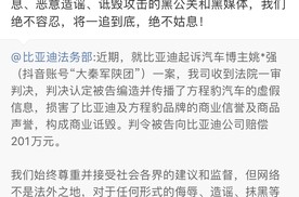 “姚十八”侵权比亚迪方程豹案判决，支付赔偿款等共计 201 万元