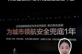 “智驾险”VS“智驾兜底承诺”，谁能为用户创造更安心的出行体验