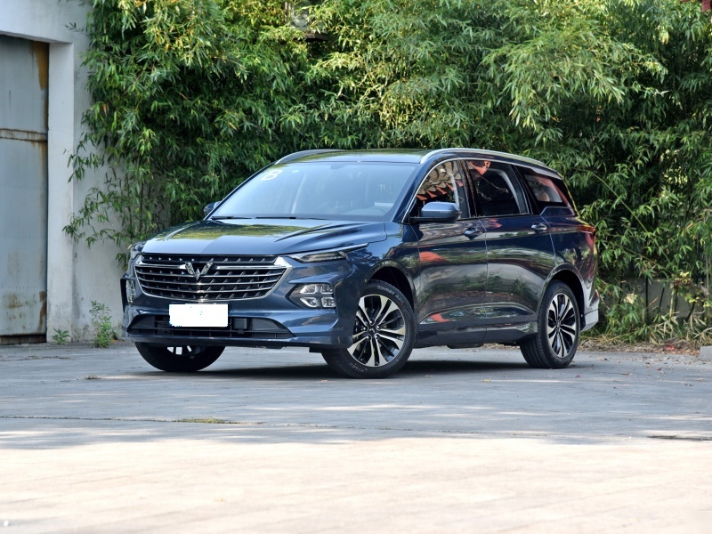 【帮你选车】车市1月开门红,王者从未移位,MPV车型排行