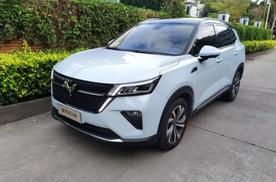 10万级少有的混动SUV，后排可当双人床，一箱油1000km，大厂出品