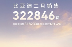 国内外多点开花！比亚迪2月继续蝉联销冠