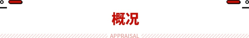 13万可提四驱！兼顾多场景用车需求 理工男这硬派SUV也很居家