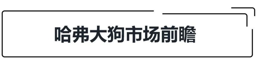 预售12.5万起，全新SUV车型大狗会是哈弗SUV新爆款吗？