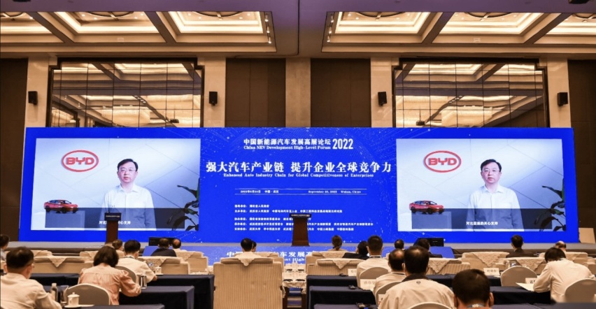 锂价暴涨，锂矿企业市值却暴跌？王传福一语道破真相！