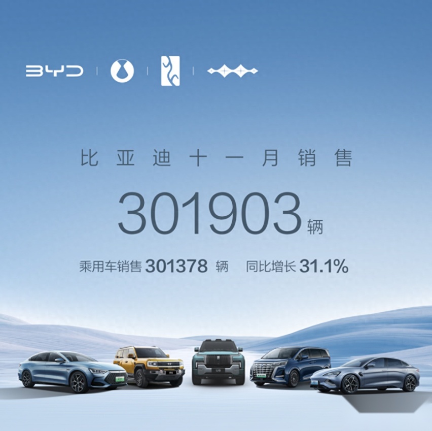 月销30万的比亚迪，竟然也有冷门车？