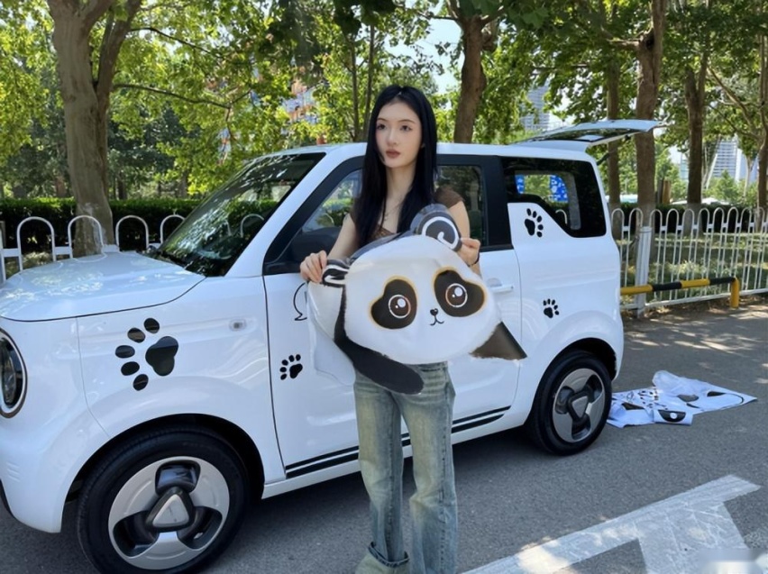 探秘熊猫mini“火”起来的原因