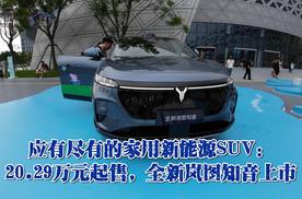 应有尽有的家用新能源SUV：20.29万元起售，全新岚图知音上市