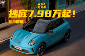 抄底价7.98万起！欧拉好猫限时福利，错过等明年？
