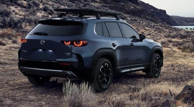 CX-502.jpg