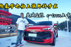 奥迪Q6L e-tron上市，给豪华电动上演外科手术