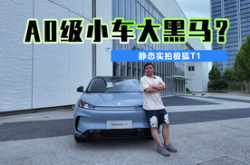 A0级小车大黑马？静态实拍极狐T1