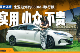 10万买瓦罐？静态体验比亚迪海豹06DM-i旅行版，混动大空间！
