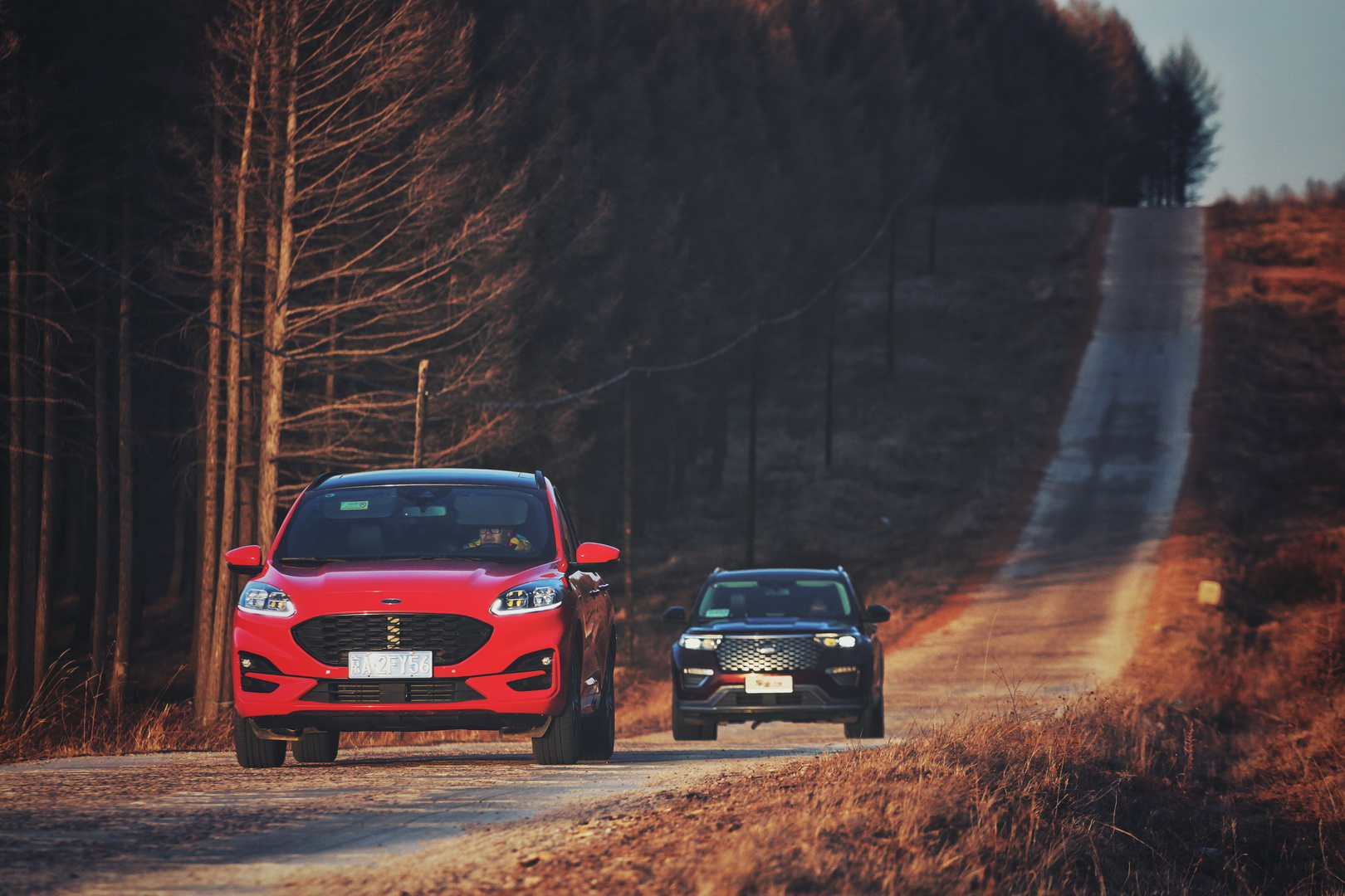 �ط�ɭ�ֵۇ�