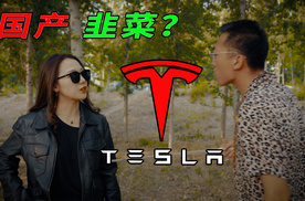 等等再买，明天更便宜！国产特斯拉真的行吗？