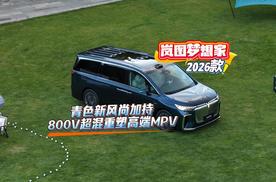 2026款岚图梦想家预售：青色新风尚加持 800V超混重塑高端MPV