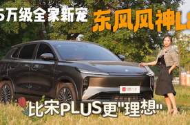 10万级奶爸车，插混大马力+二排屏幕好带娃，比宋 PLUS如何？