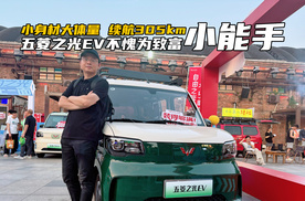 小身材大体量，续航305km！五菱之光EV不愧为致富小能手