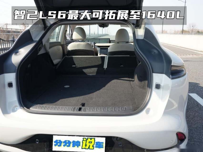 只讲干货！三款热门纯电车，极氪001/小鹏G6/智己LS6，怎么选？