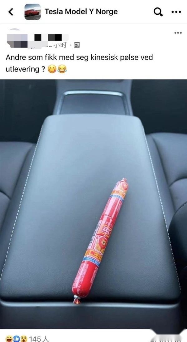买中国产Model Y送火腿肠？挪威车主提新车，扶手箱有惊喜