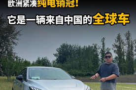 欧盟“严选”好车！欧洲紧凑纯电销冠！它是一辆来自中国的全球车